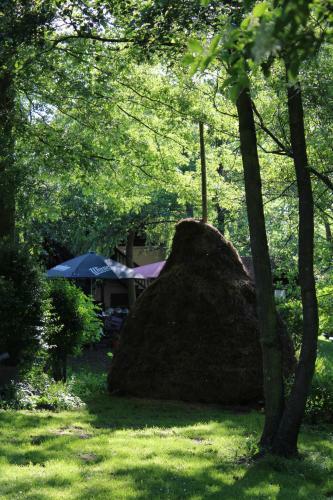 Spreewald Ferienwohnung L�bben