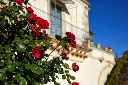 Villa Cammarana