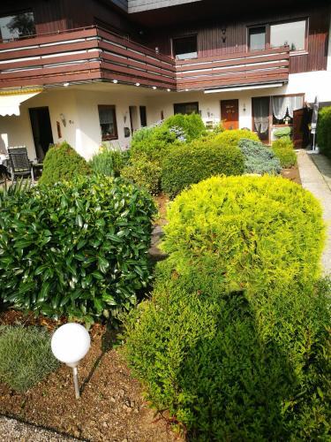 Apartamento Feriendomizil-sauerland Fewo 2
