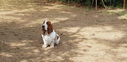 Bed & Breakfast Alle Zagare