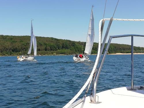 Apartamento Ferienwohnung Fr�nkisches Seenland - Fewo Antje