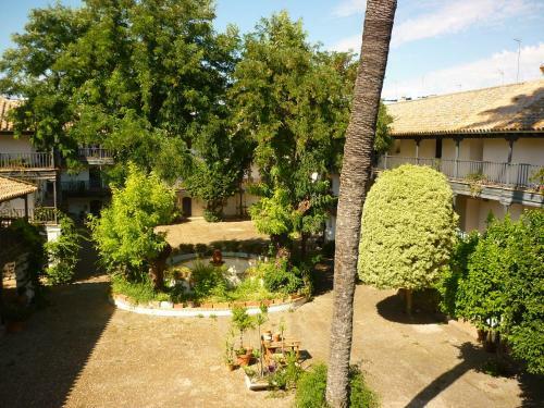 Apartamento Un Oasis En El Coraz�n de Sevilla