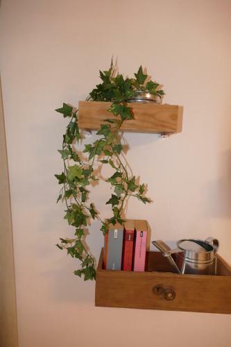 Harzapart Appartement 2 "wandertraum"