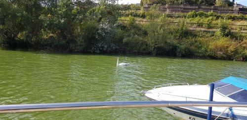 Cafe Sander�s Camping Auf Der Mosel