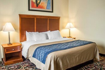 Hotel Comfort Inn & Suites Kent