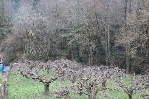 Udaira