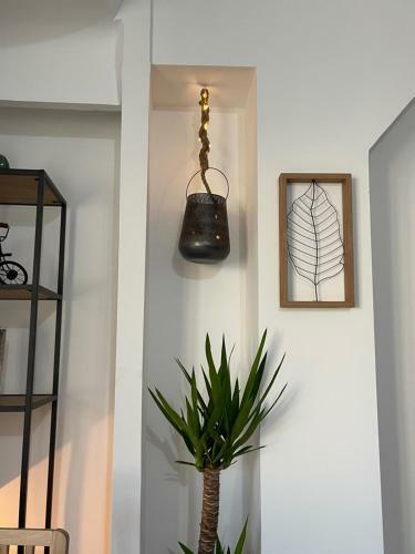 Apartamento Jolie Appartement