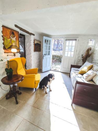 Bed & Breakfast Domaine de La Santonne