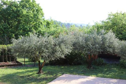 Villa Du Lilas Blanc
