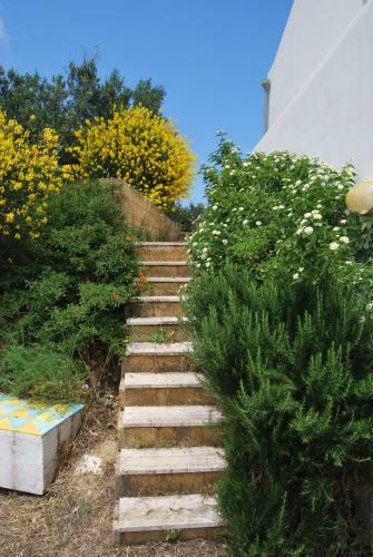 Villa Casa Zabbara