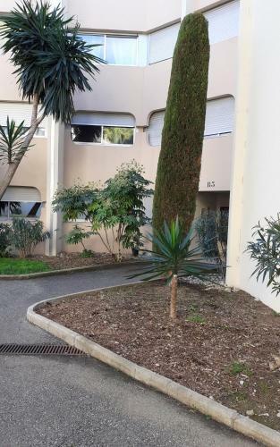 Apartment With Parking And Pool At Antibes By Weekome