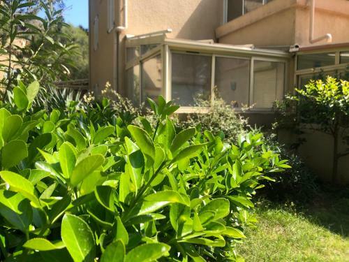 Apartamento Appart Wifi, Plage 200 M�tres