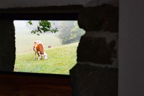 Bed & Breakfast Les Balcons de La Terrasse
