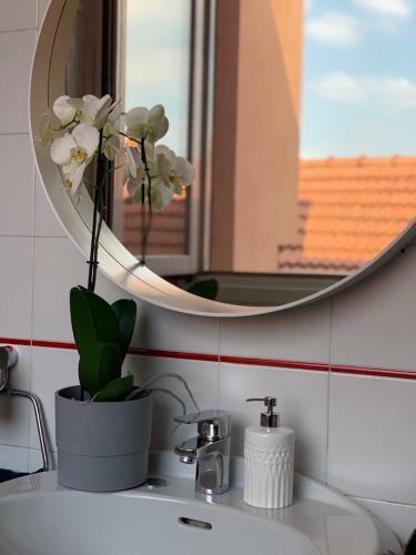 Camozzi Central Apartment