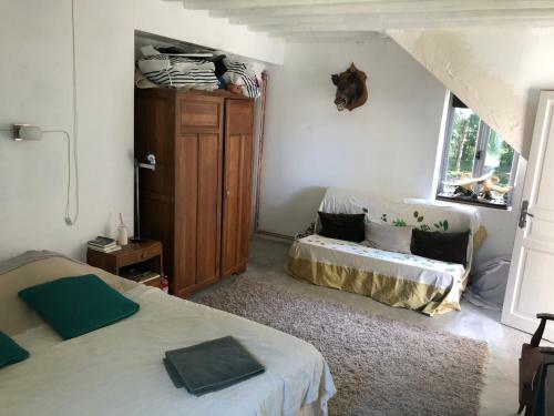 L'appel De La For�t 51