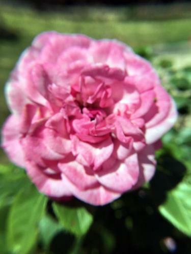 Bed & Breakfast La Romance Et La Romanesque