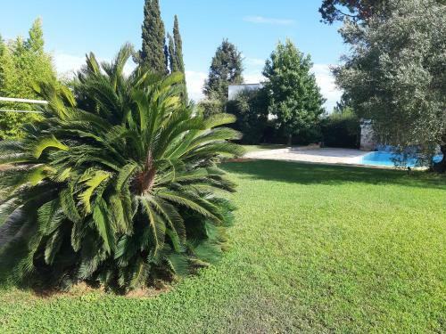 Villa Con Piscina Al Circeo