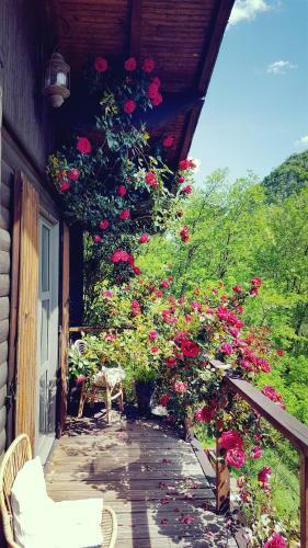 Bed & Breakfast Skymist Maison D'h�tes