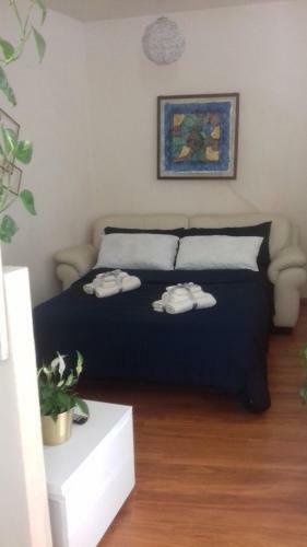 Casa Criss