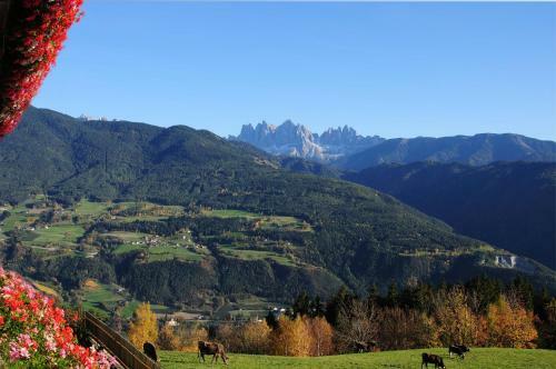 Bed & Breakfast Wegscheiderhof