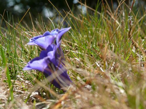 Apartamento Ban Hofa