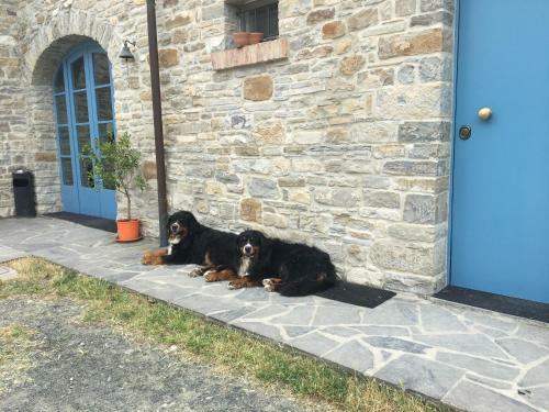 Bed & Breakfast La Locanda Nel Vento