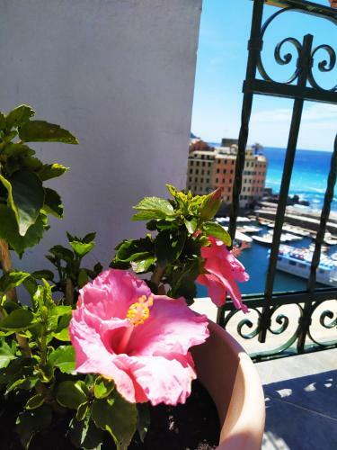 Hostal La Mansarda Sul Porto