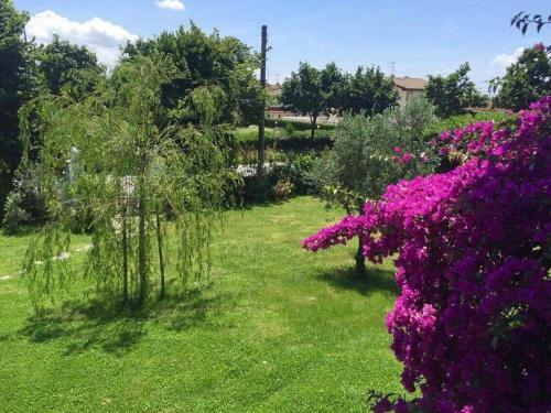 La Bouganville - Piscina E Relax
