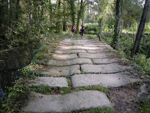 Hostal Albergue Pensi�n Flavia