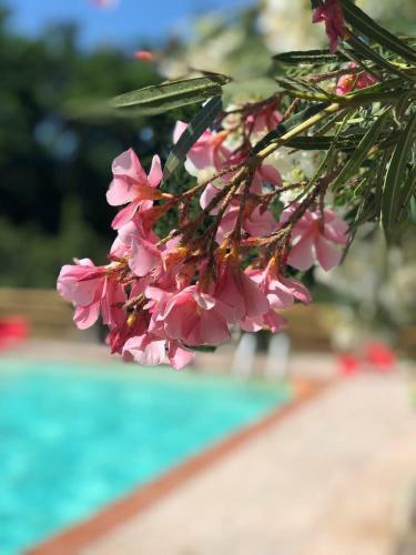 Apartamento Alloro Case Vacanze 3