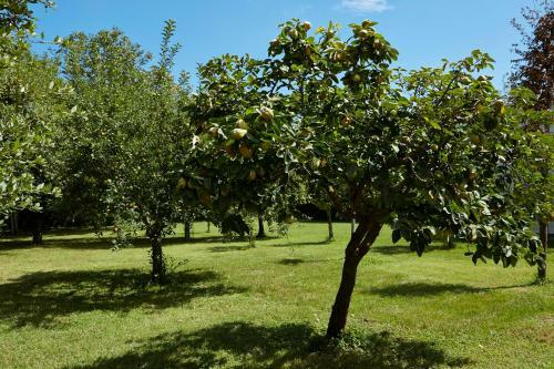 Agroturismo Casale Cenerelli