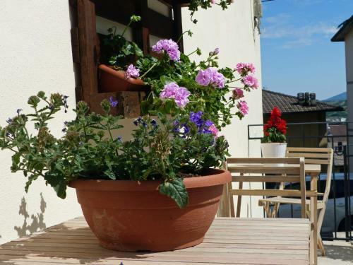 Bed And Breakfast Il Castagno