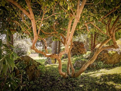Hotel Santoro Country House