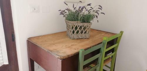 Il Giardino Di Viola