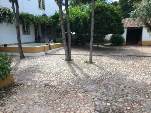 Agroturismo Quinta Das Framboesas