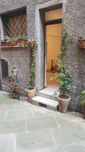 Apartamento Il Vicolo Delle Scuole Pie