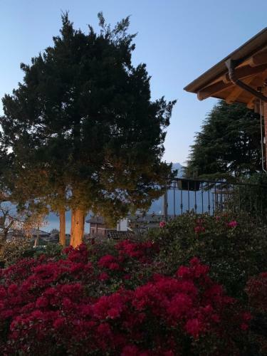 Villa Casa Amalia - Molino Maufet M�hle