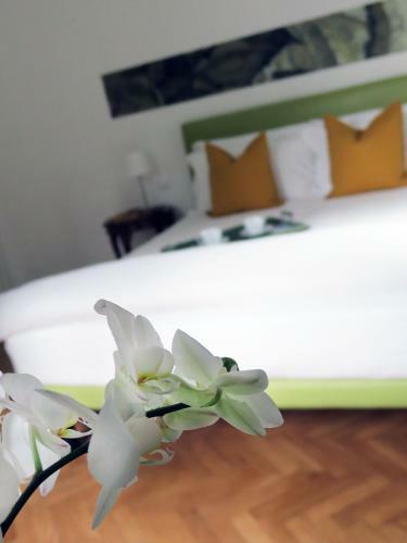 Apartamento Villa Crochat