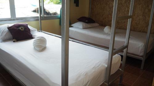 Albergue Chaokoh Phi Phi Resort And Dorm Room