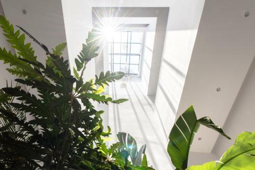 Hotel Wuzhen Hygge