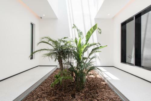 Hotel Wuzhen Hygge