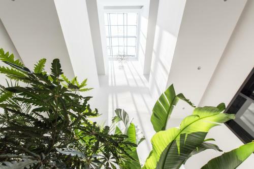 Hotel Wuzhen Hygge
