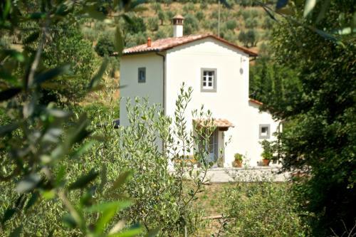 Villa Barbagianni