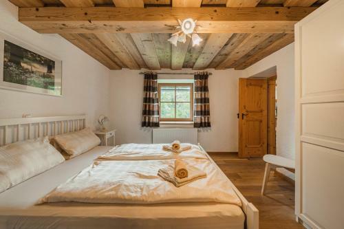Dachstein Chalet Fh Gut - Eisenlehen