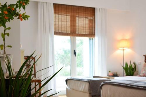 Luxury Hilltop Villa 200m From The Beach