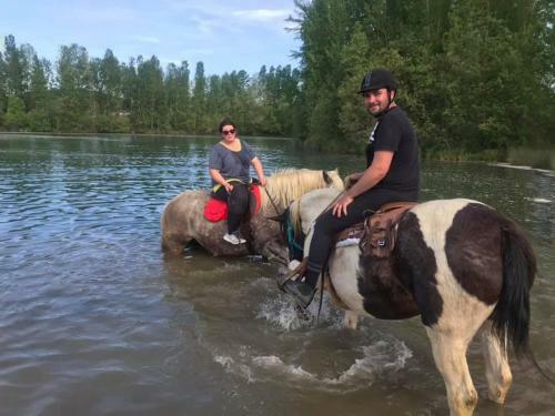 Un Petit Coin de Bonheur Au Ranch