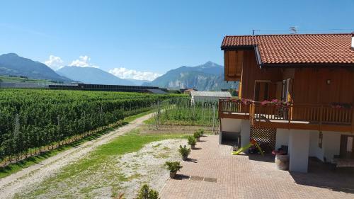 Agroturismo Agritur Clementi
