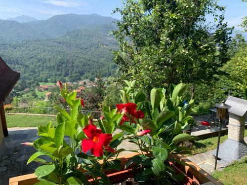 Chalet Alma