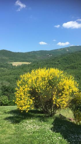 Apartamento Nido D?amore Nei Colori