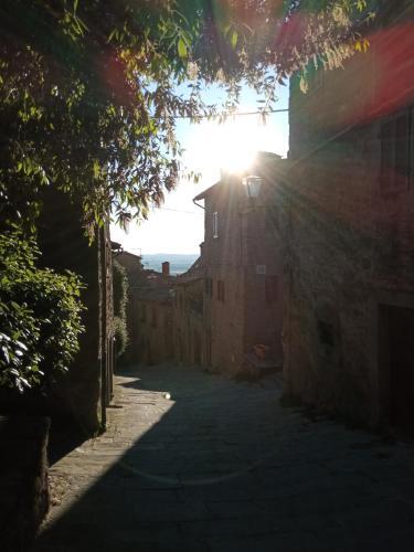 Apartamento Appartamento Io E Te Cortona Centro Storico